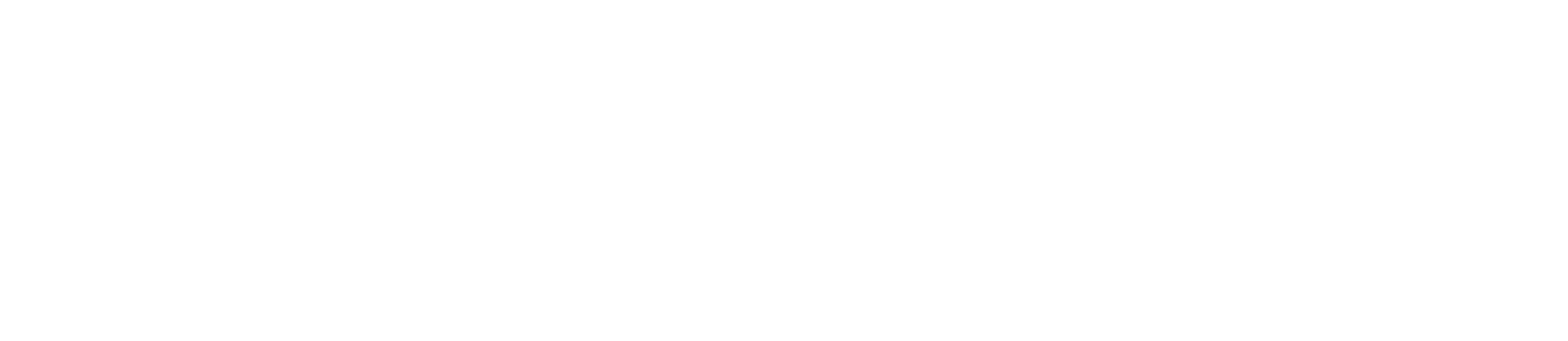 Conception